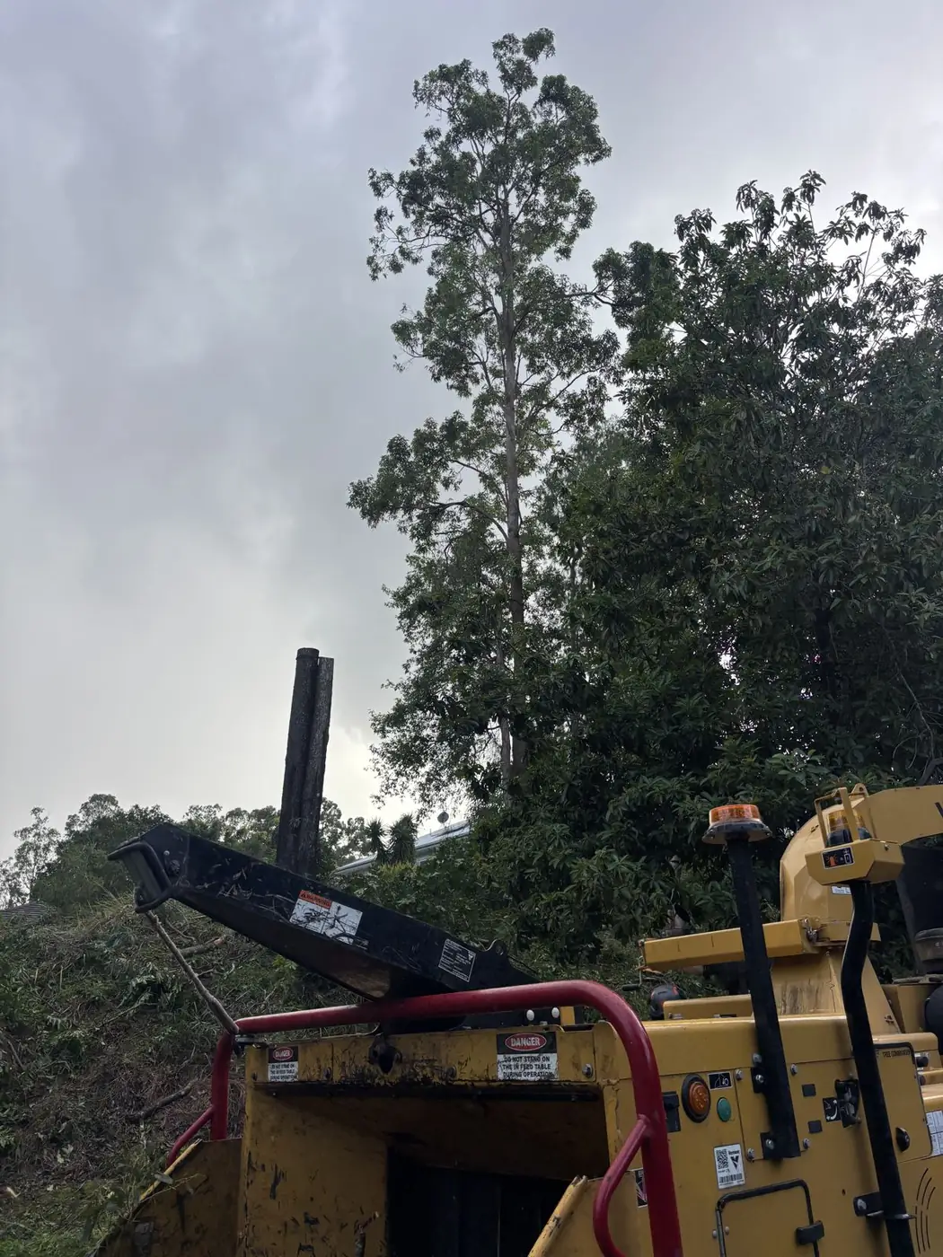 Mulching Services Sunshine Coast