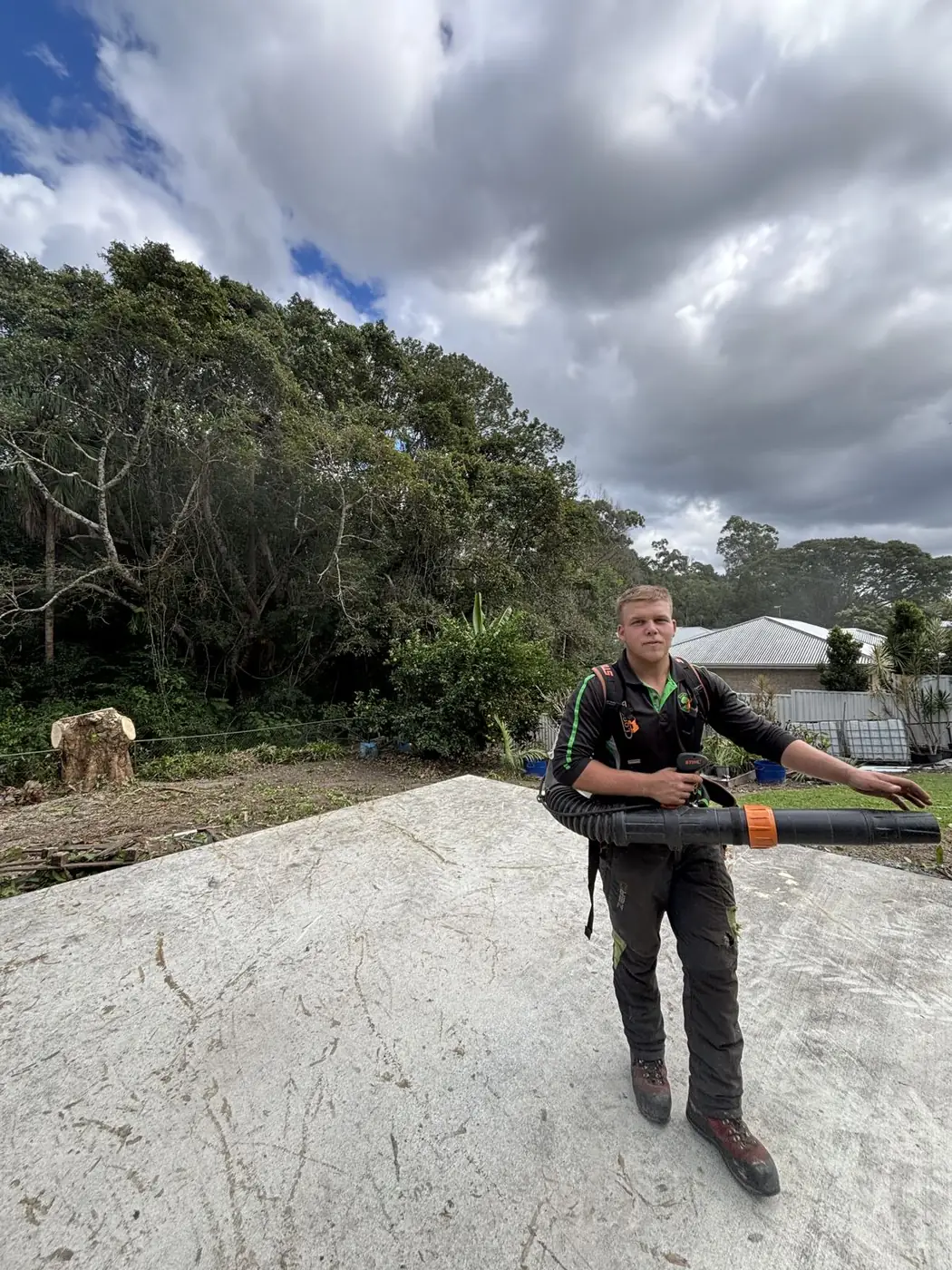 Final clean up after tree removal