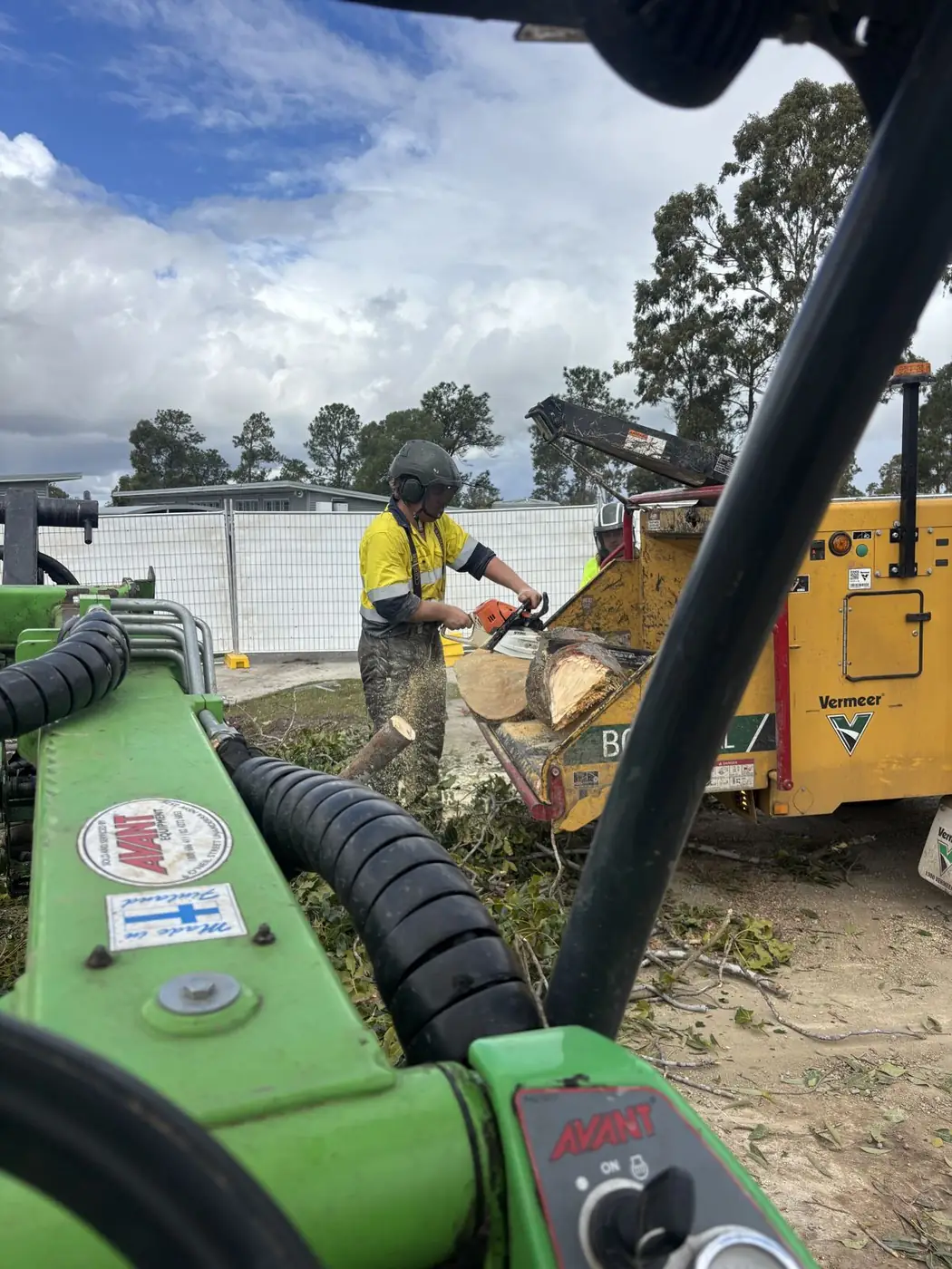 Tree Maintenance Sunshine Coast