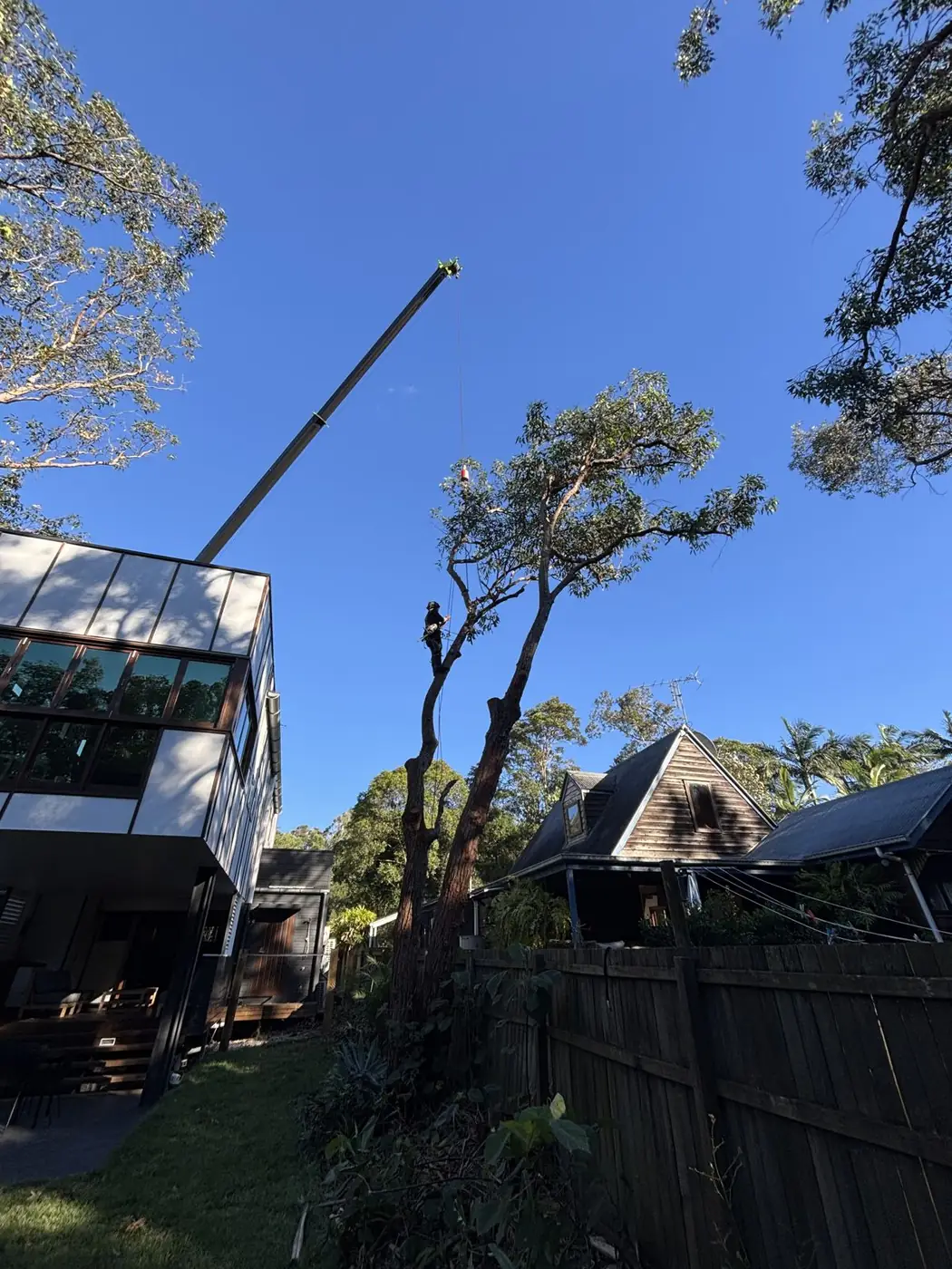 Crane lifting a gum section over the house