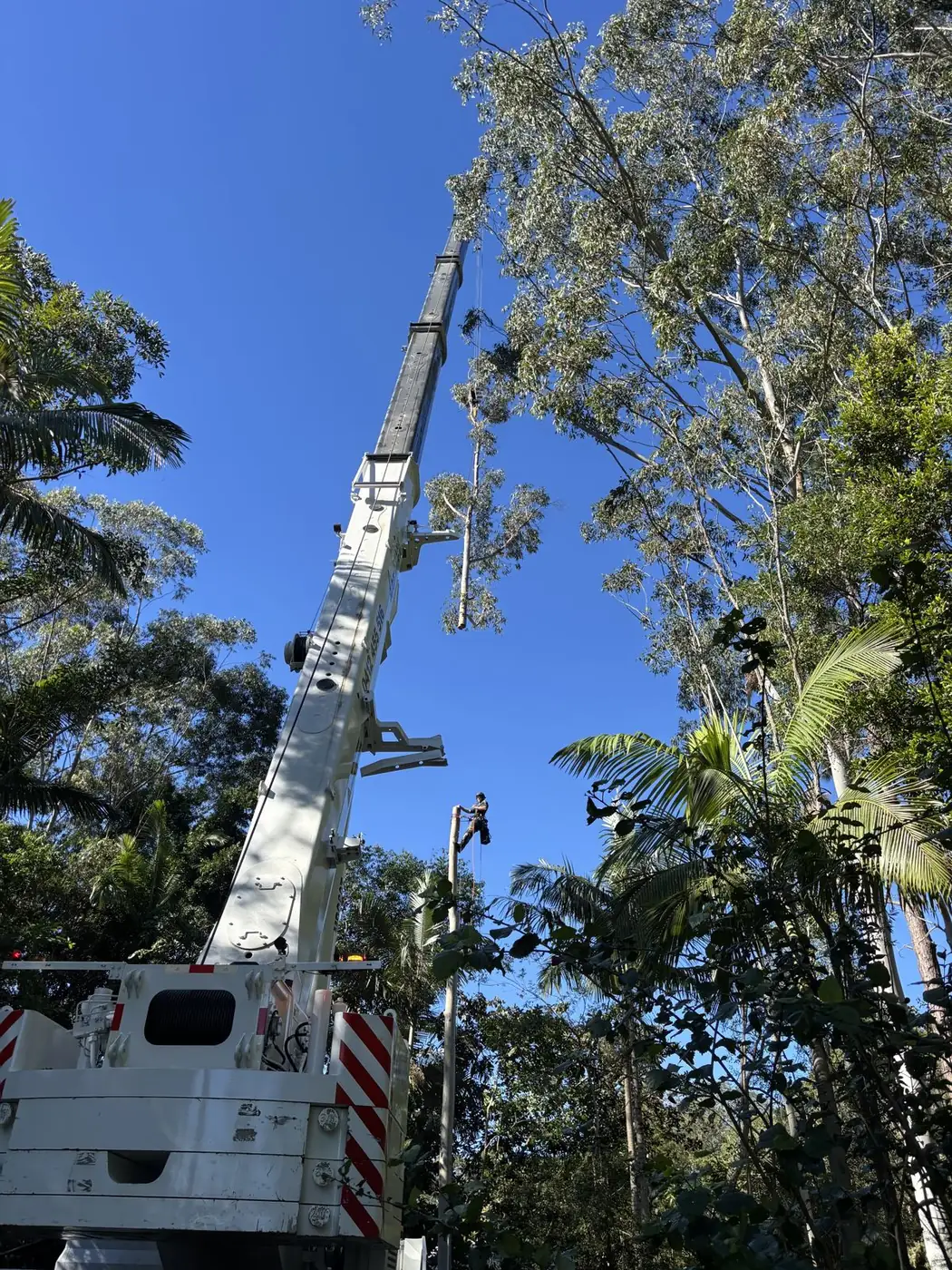 Emergency Storm Damage Sunshine Coast